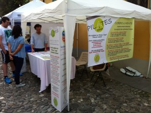 San Luca 2014